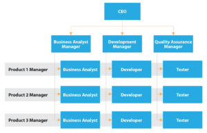 Matrix Organizational Structure Guide with Examples